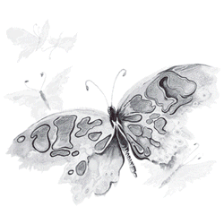 WATERCOLOR BUTTERFLY 02544SA4.gif